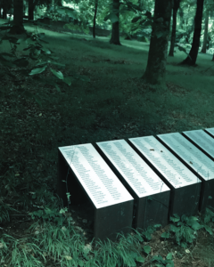 Name der ermordeten auf dem Anstaltsfriedhof Weilmünster
